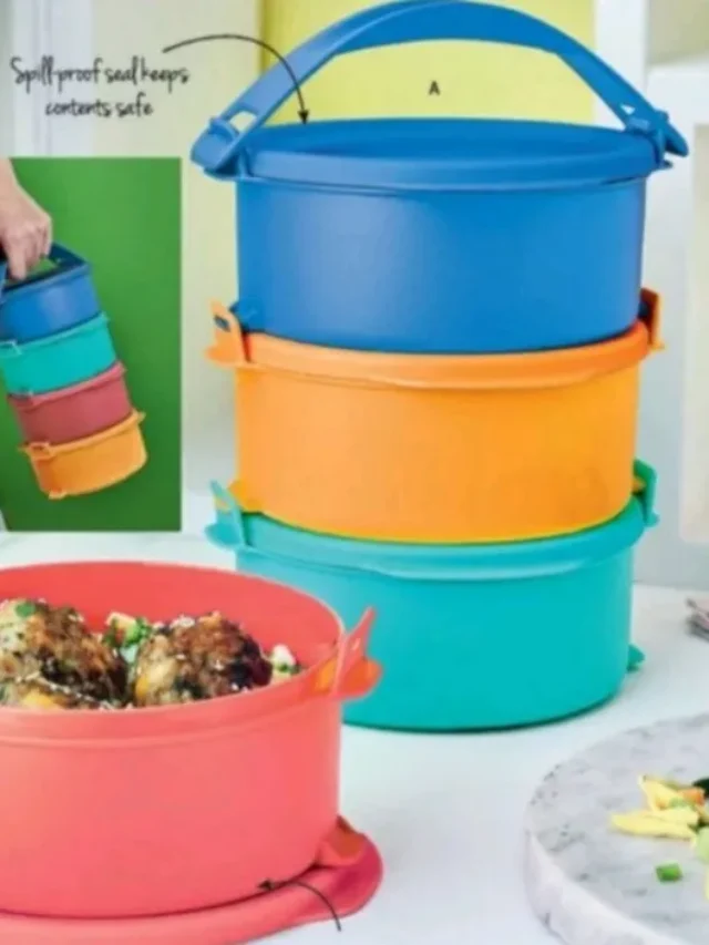 घर-घर पहुंचा टिफिन बॉक्स, फिर कैसे दिवालिया हो गई Tupperware?